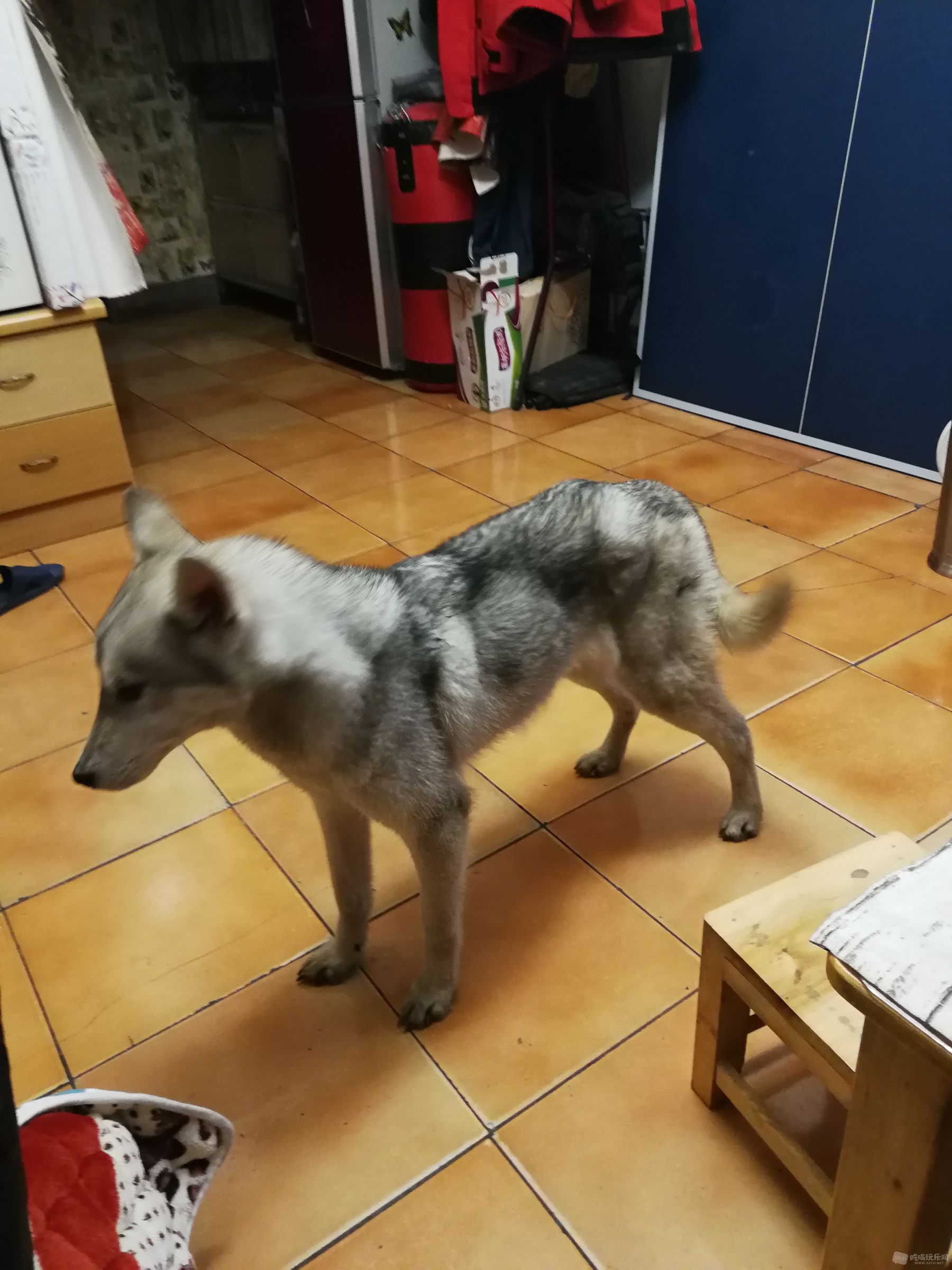 微信图片_201901231126416.jpg