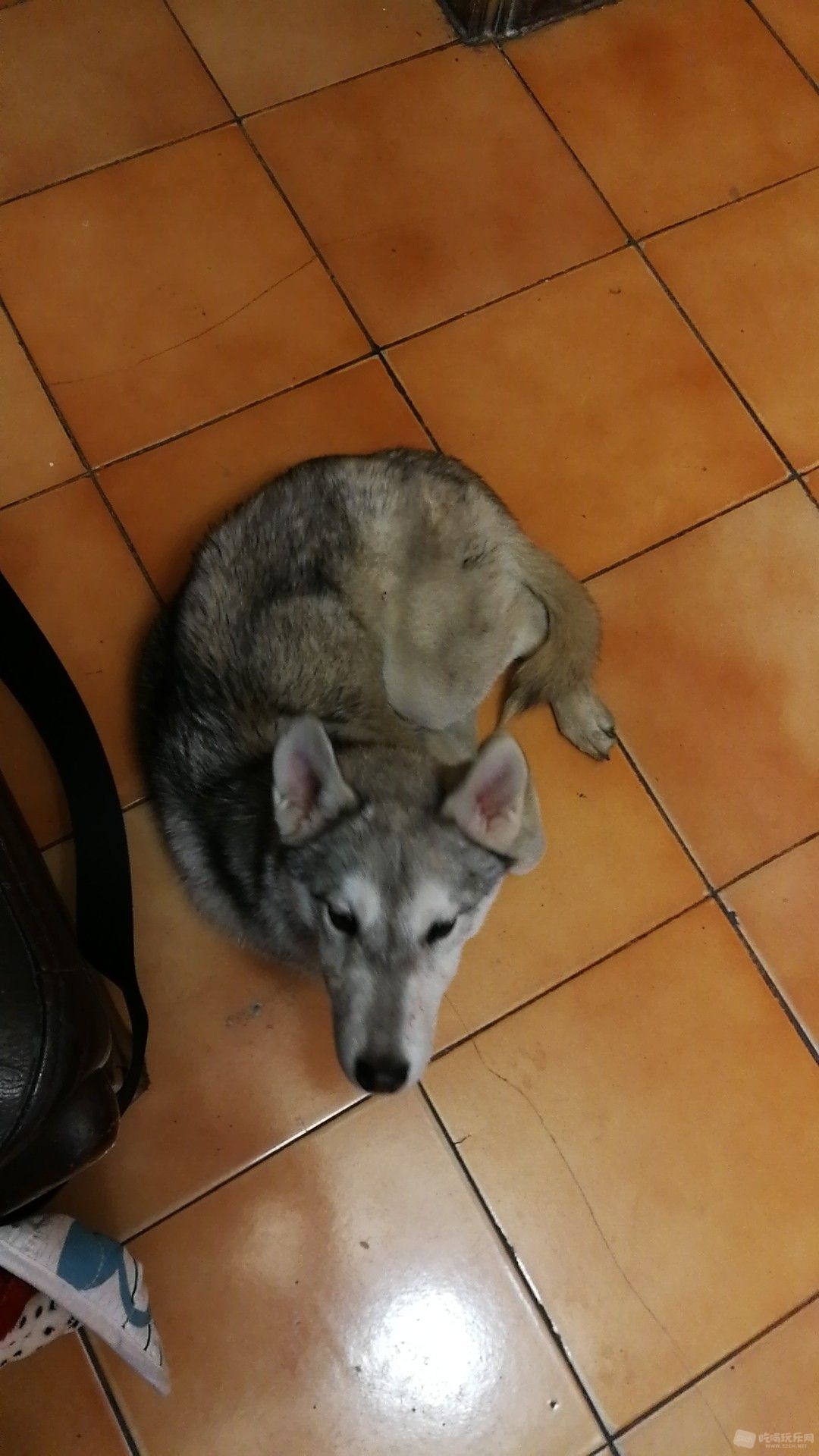 微信图片_201901231126413.jpg