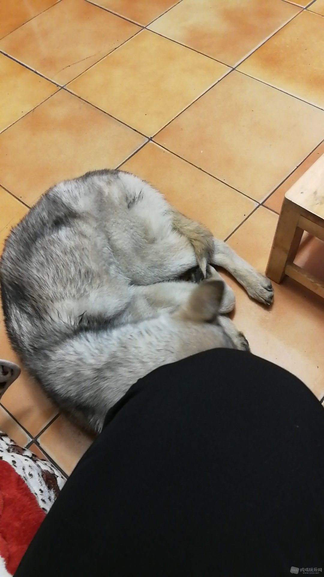 微信图片_201901231126414.jpg