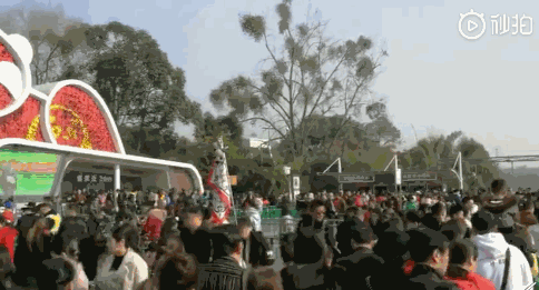 1.gif