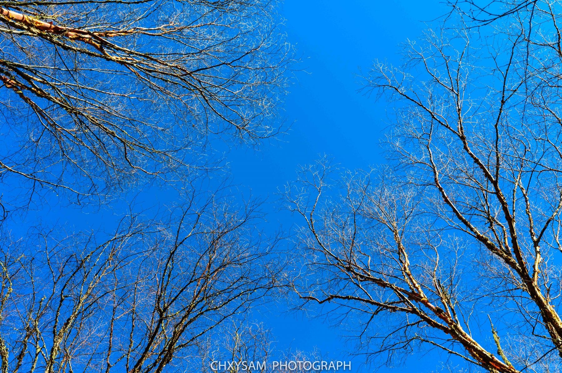DSC_0968.jpg