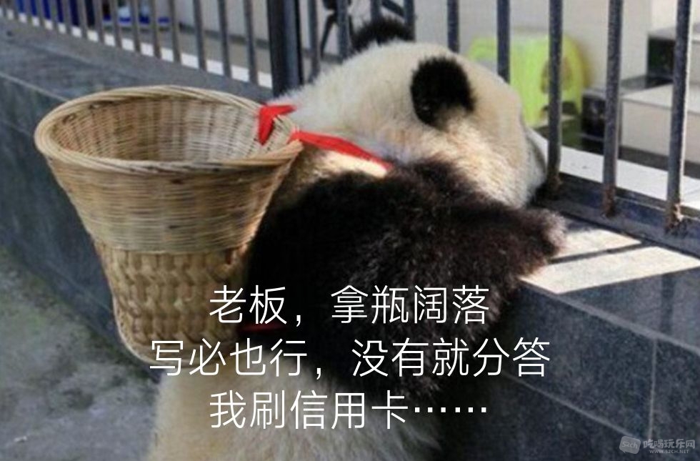 熊猫背背篼买阔落.jpg