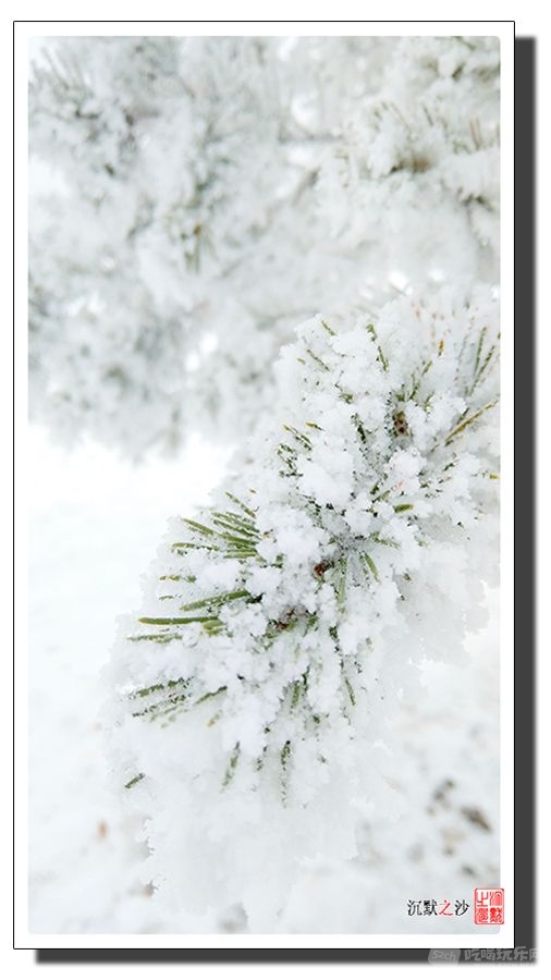 2018年12月1日 雪景4.jpeg.jpg