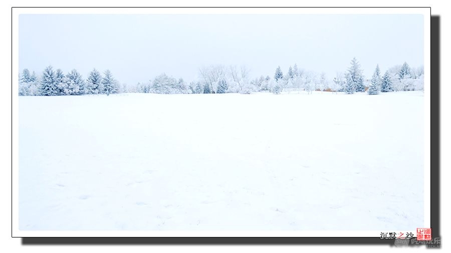 2018年12月1日 雪景10.jpeg.jpg