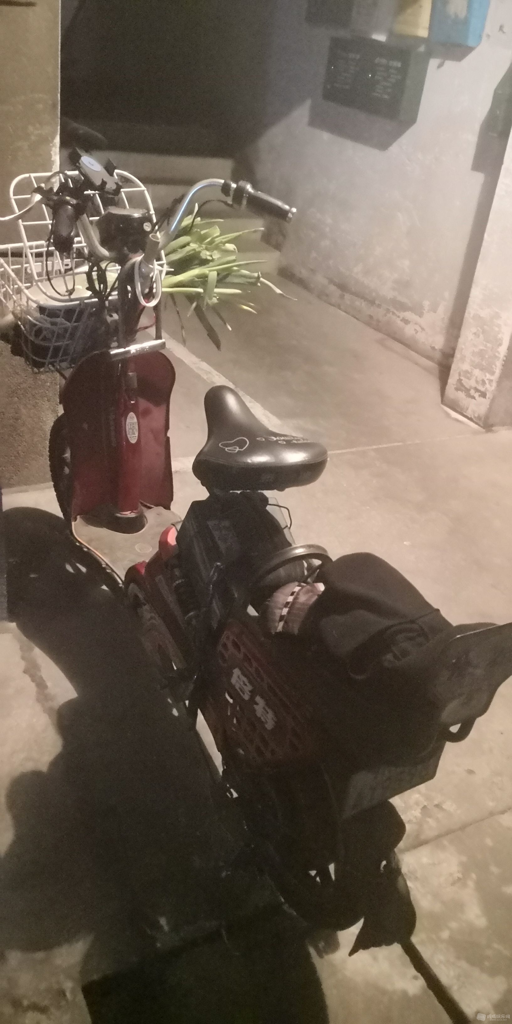 bike3.jpg