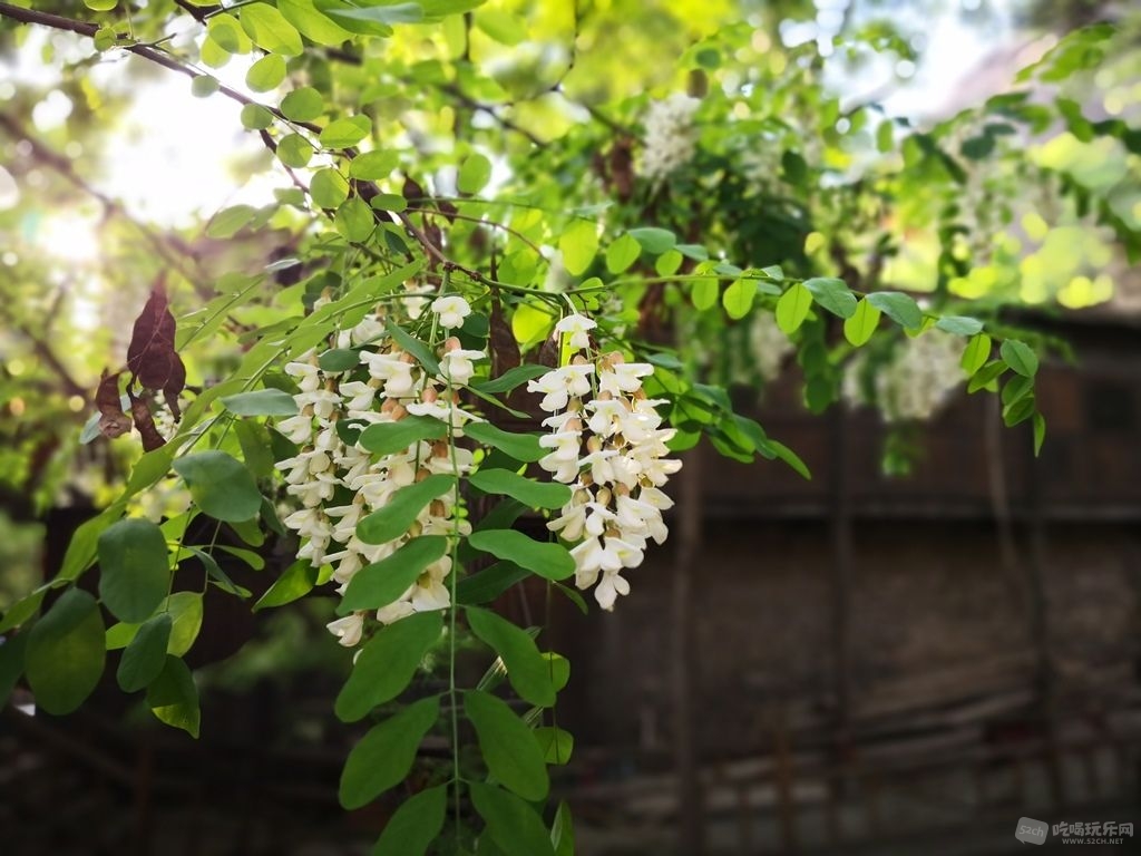 IMG_20190425_181722.jpg