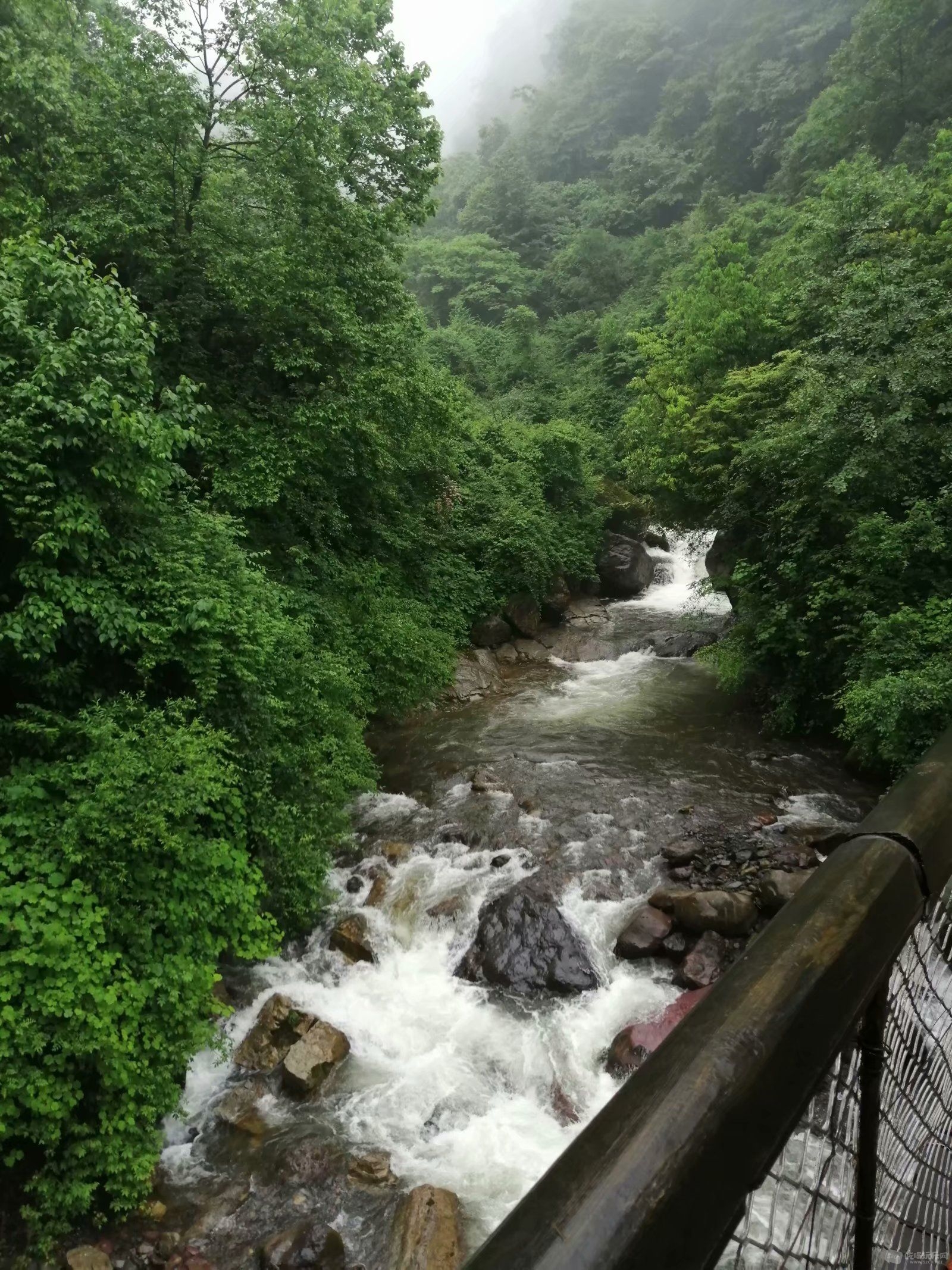 蜂巢岩