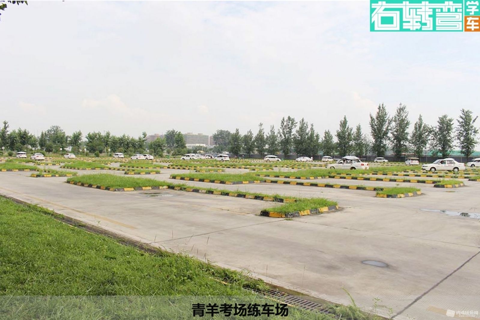 143001kghcl7jmln8mc8wj.jpg.thumb.jpg