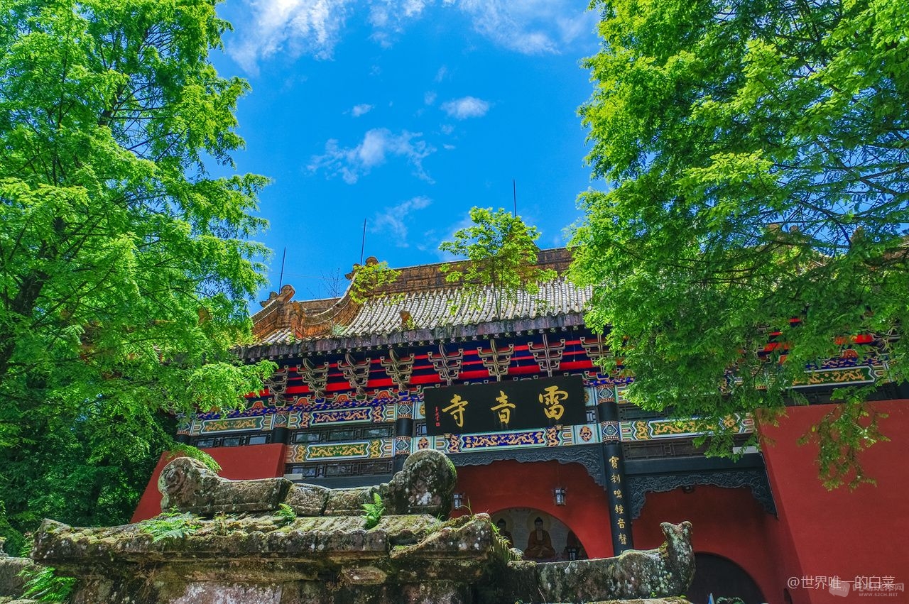 雷音寺 摄影/世界唯一的白菜