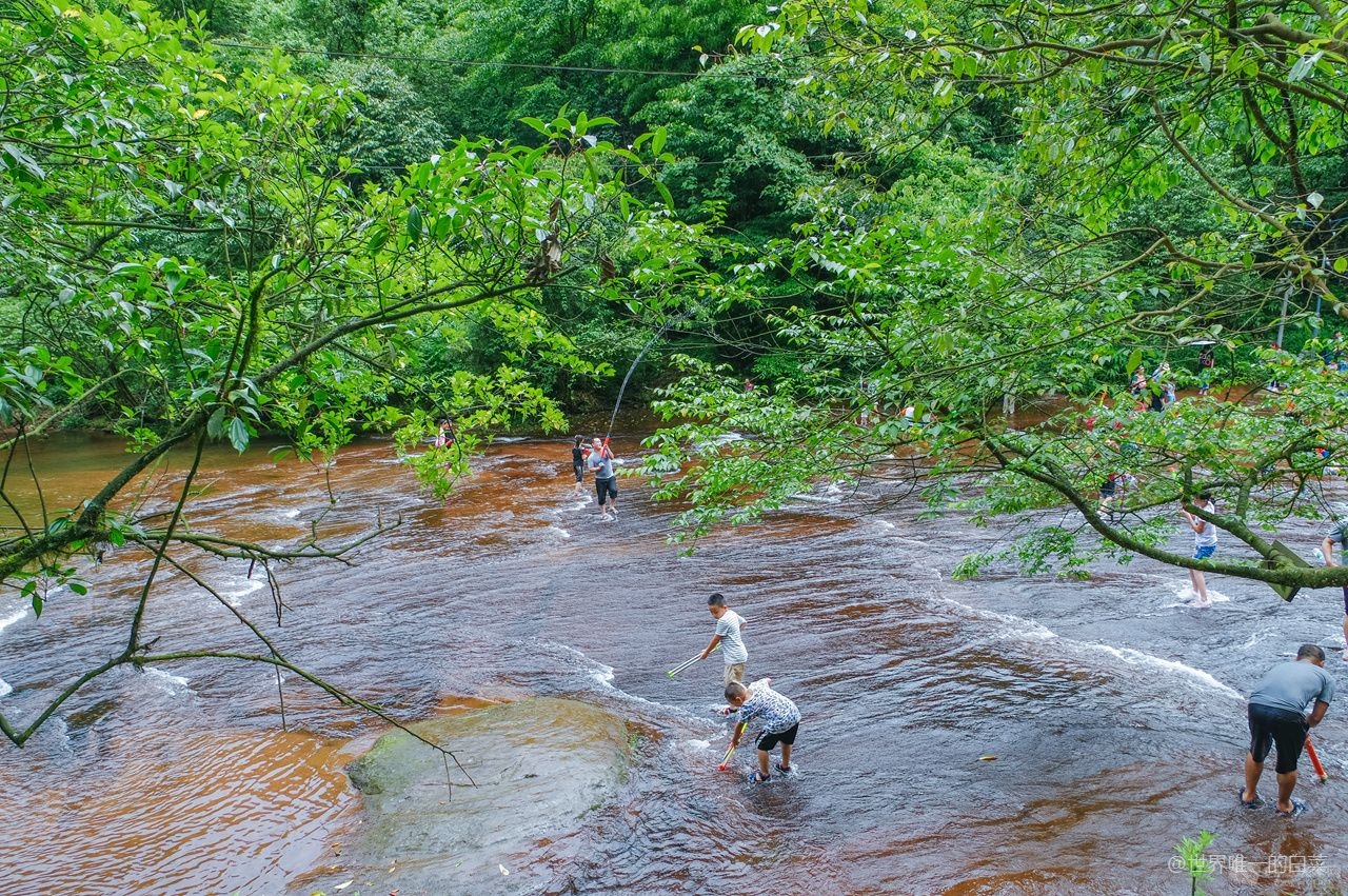 20190629-IMGP9992.jpg