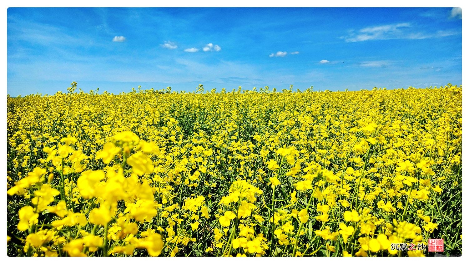 2019年7月10日 迪芬贝克湖游2.jpg