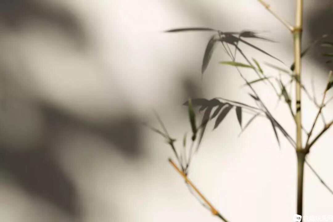 QQ图片20190716144245.jpg
