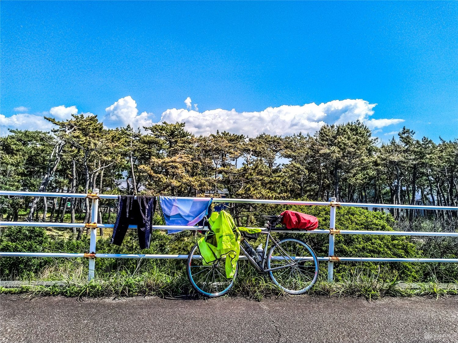 IMG_20190523_093712.jpg