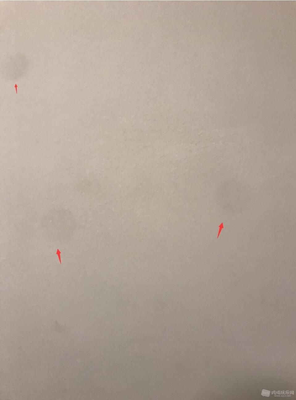 2345.jpg