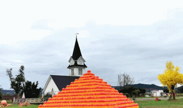 11.gif