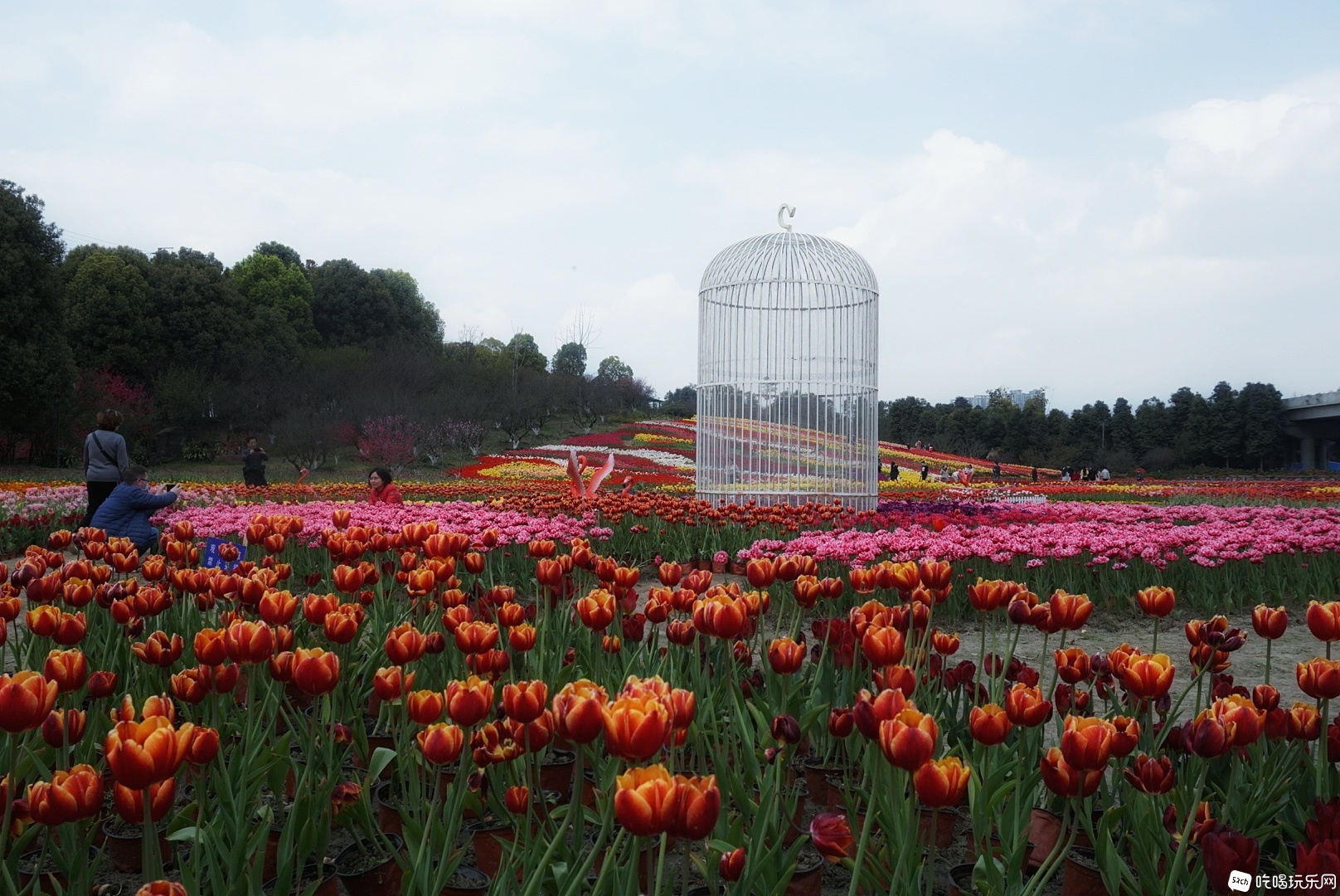 DSC02622-01.jpeg
