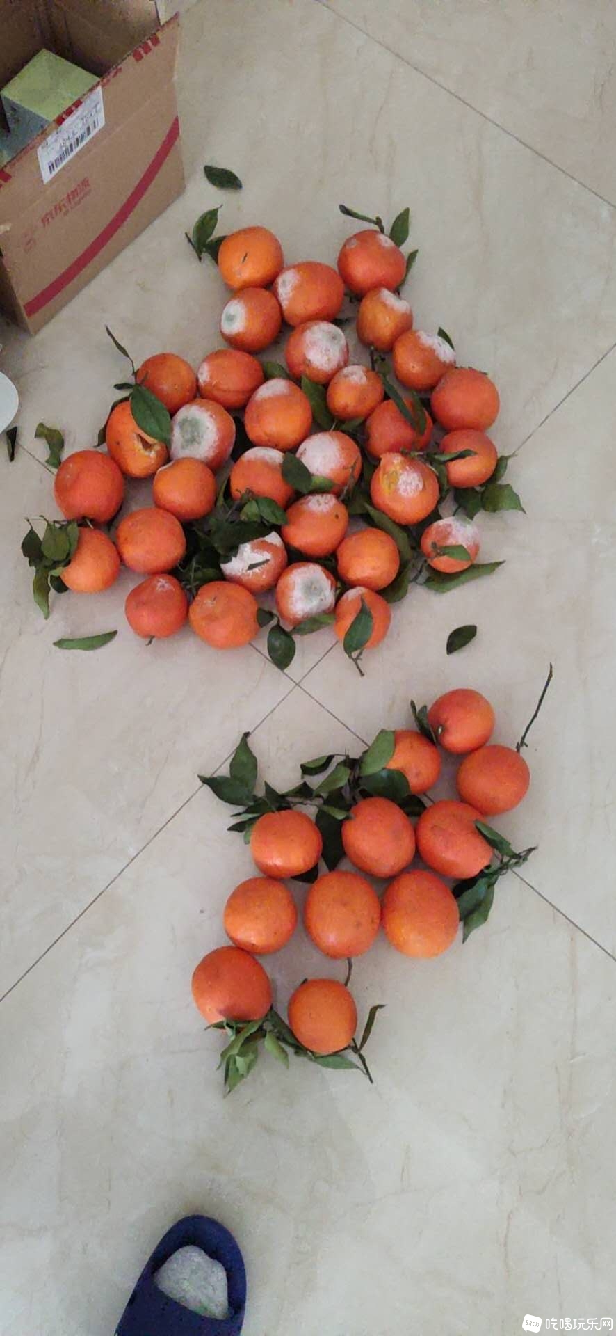 坏的一箱