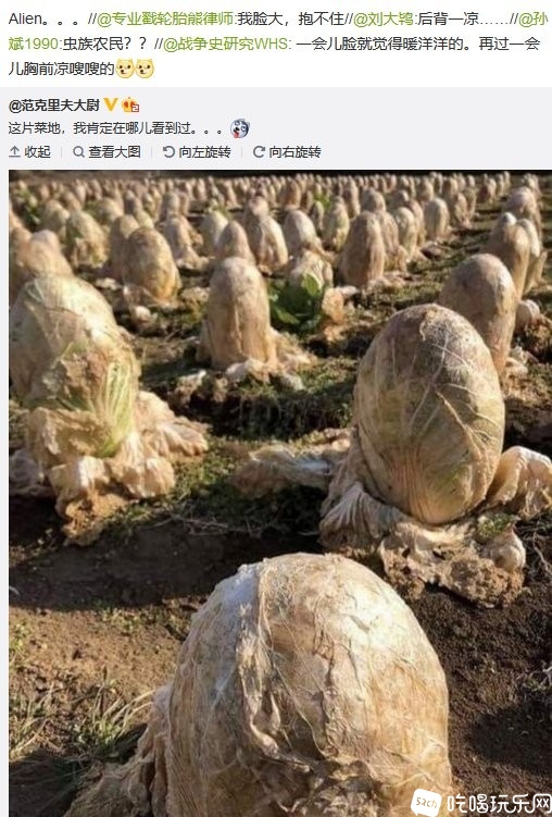 微信图片_20200409165200.jpg