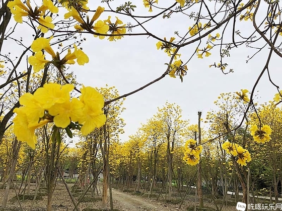 27 IMG_5035处理小图.jpg