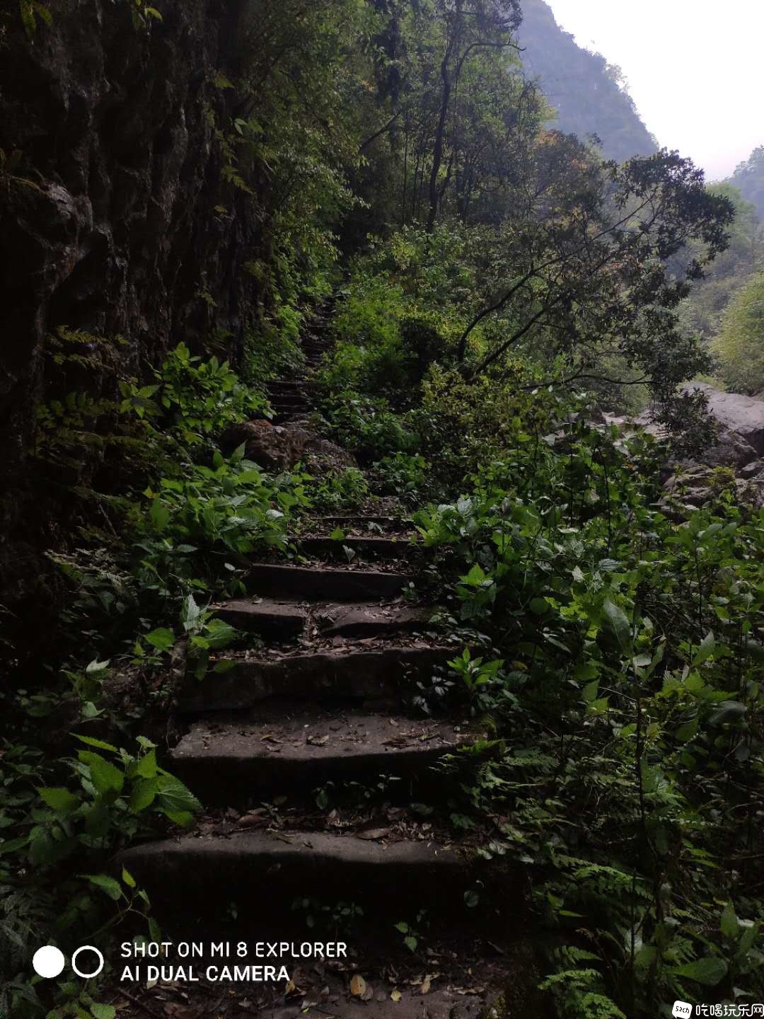 微信图片_20200424190843.jpg