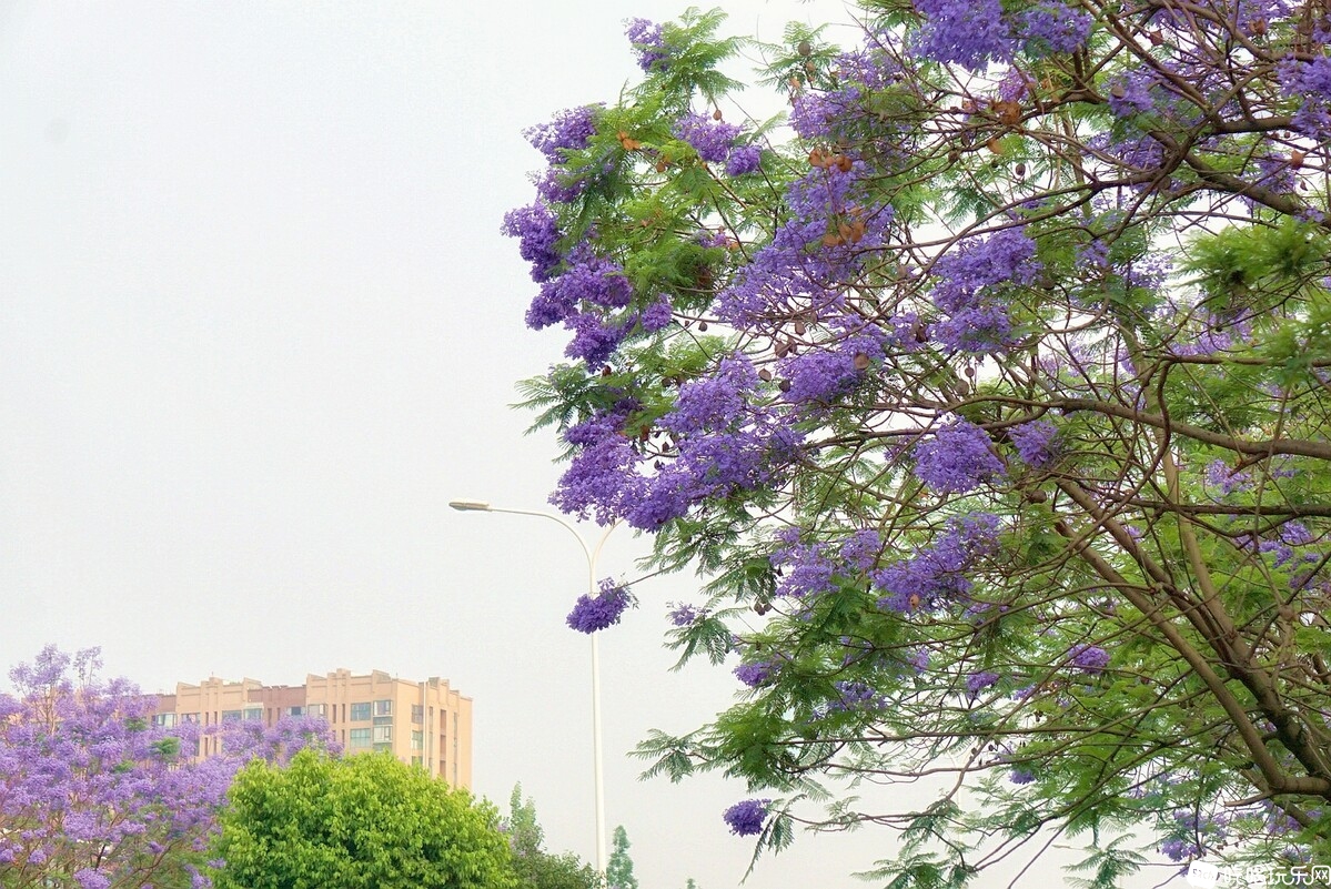 DSC03758_副本-01.jpeg