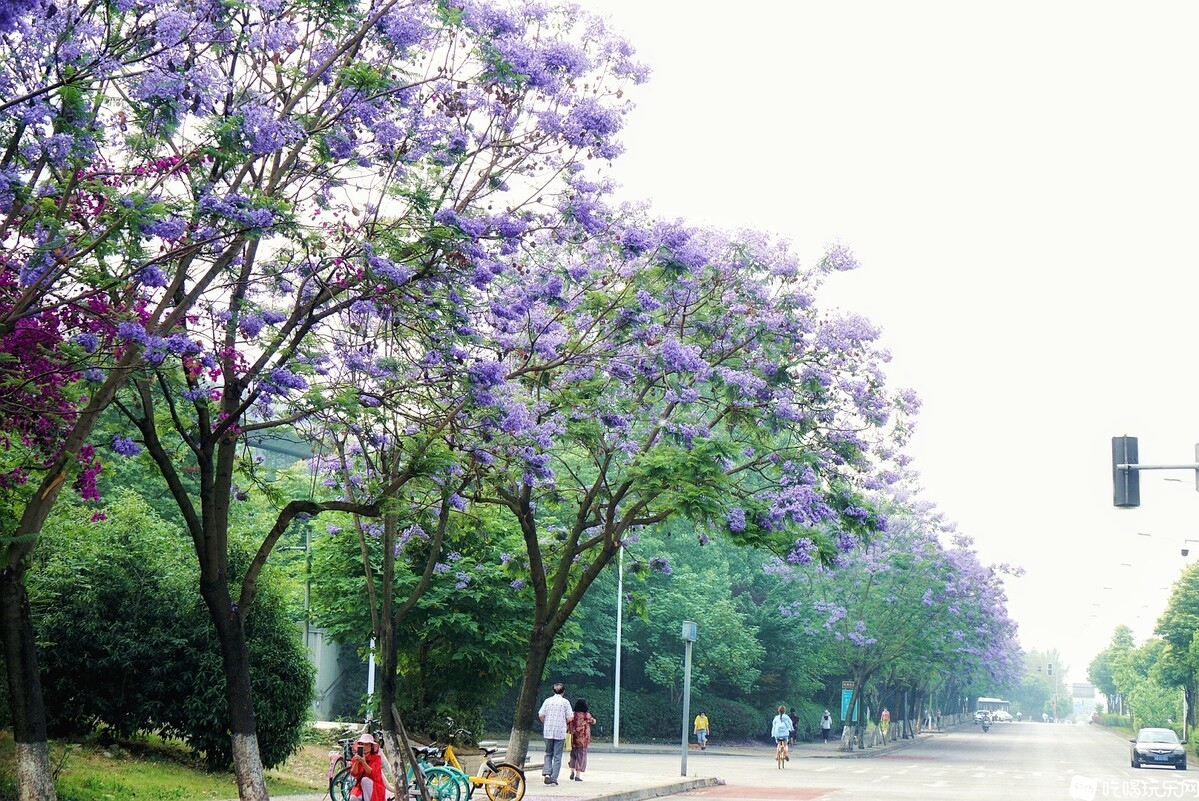 DSC03773_副本-01.jpeg