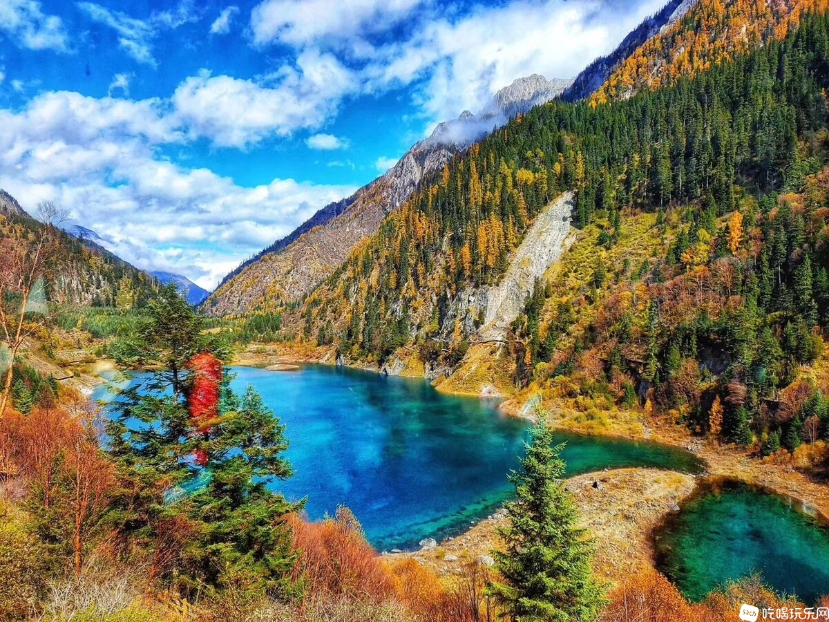 微信图片_20200609200010.jpg