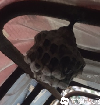 微信图片_202007101043441.png