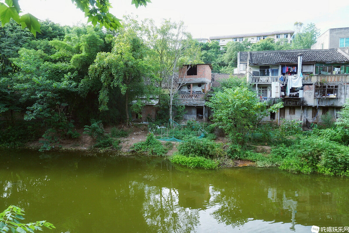 DSC05253-01_副本.jpg