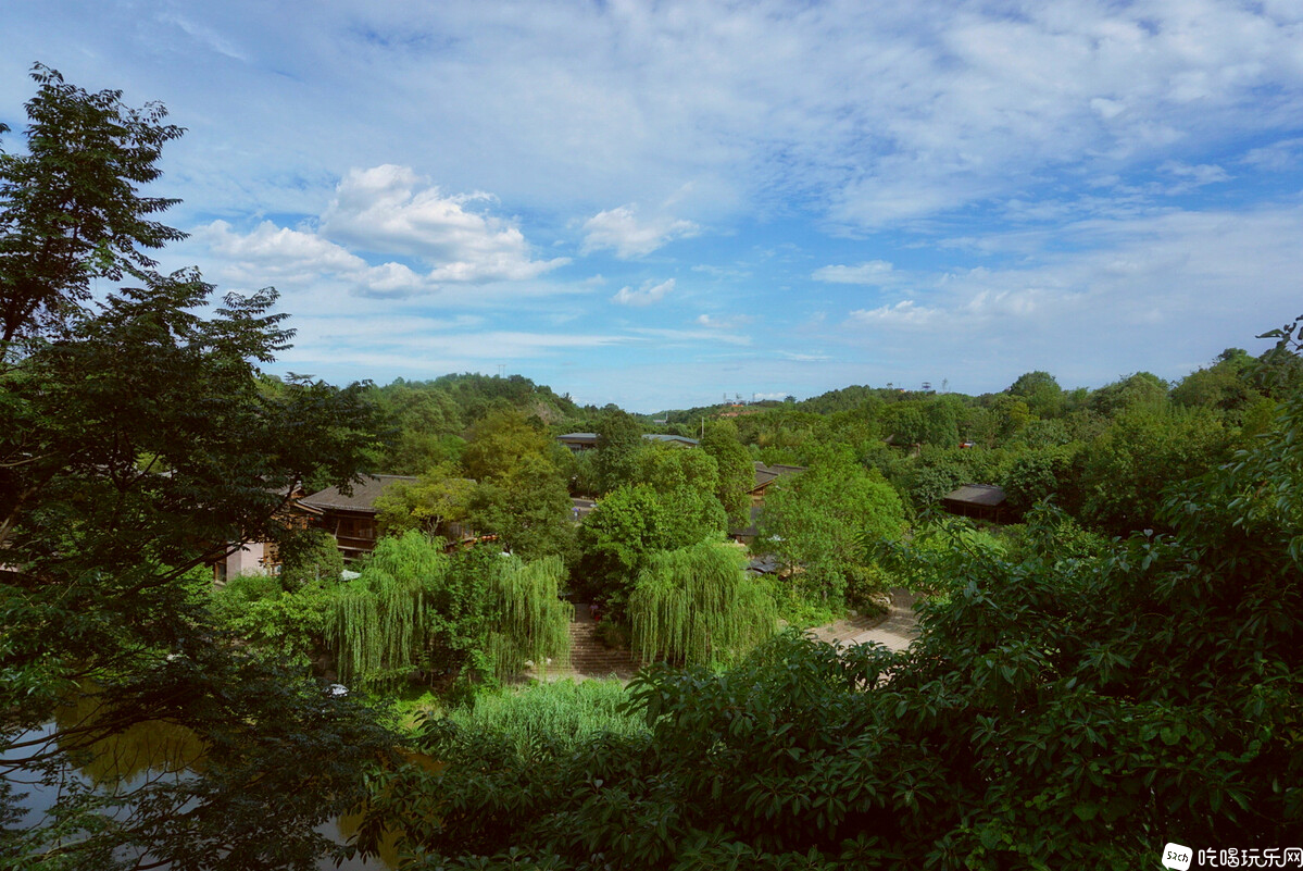 DSC05239-02_副本.jpg