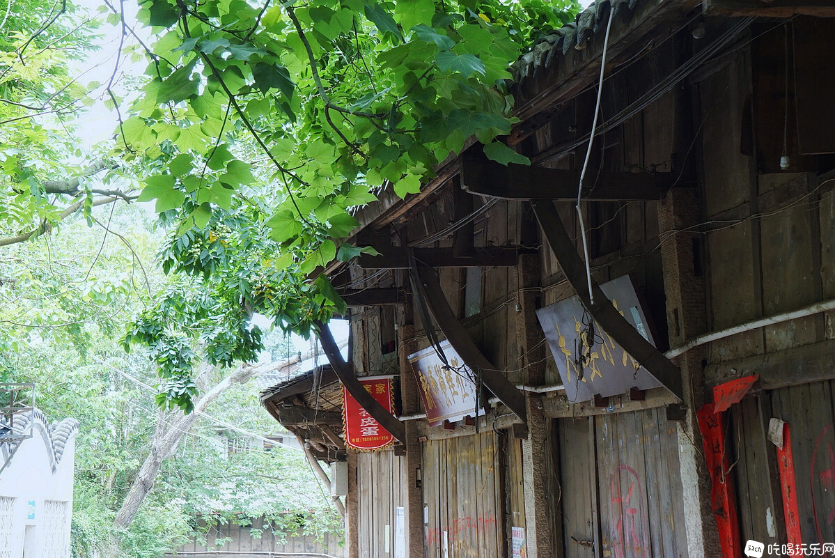 DSC05224-02_副本.jpg