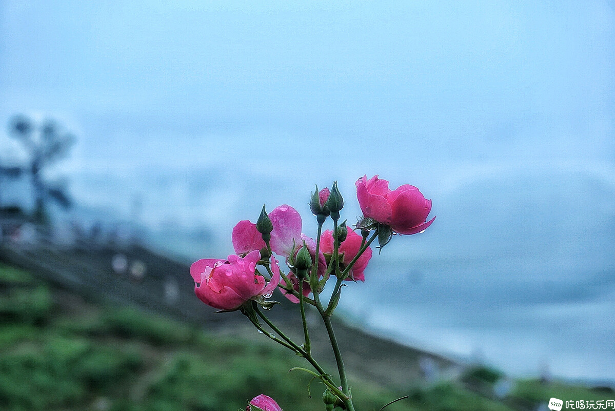 DSC05427-02_副本.jpg