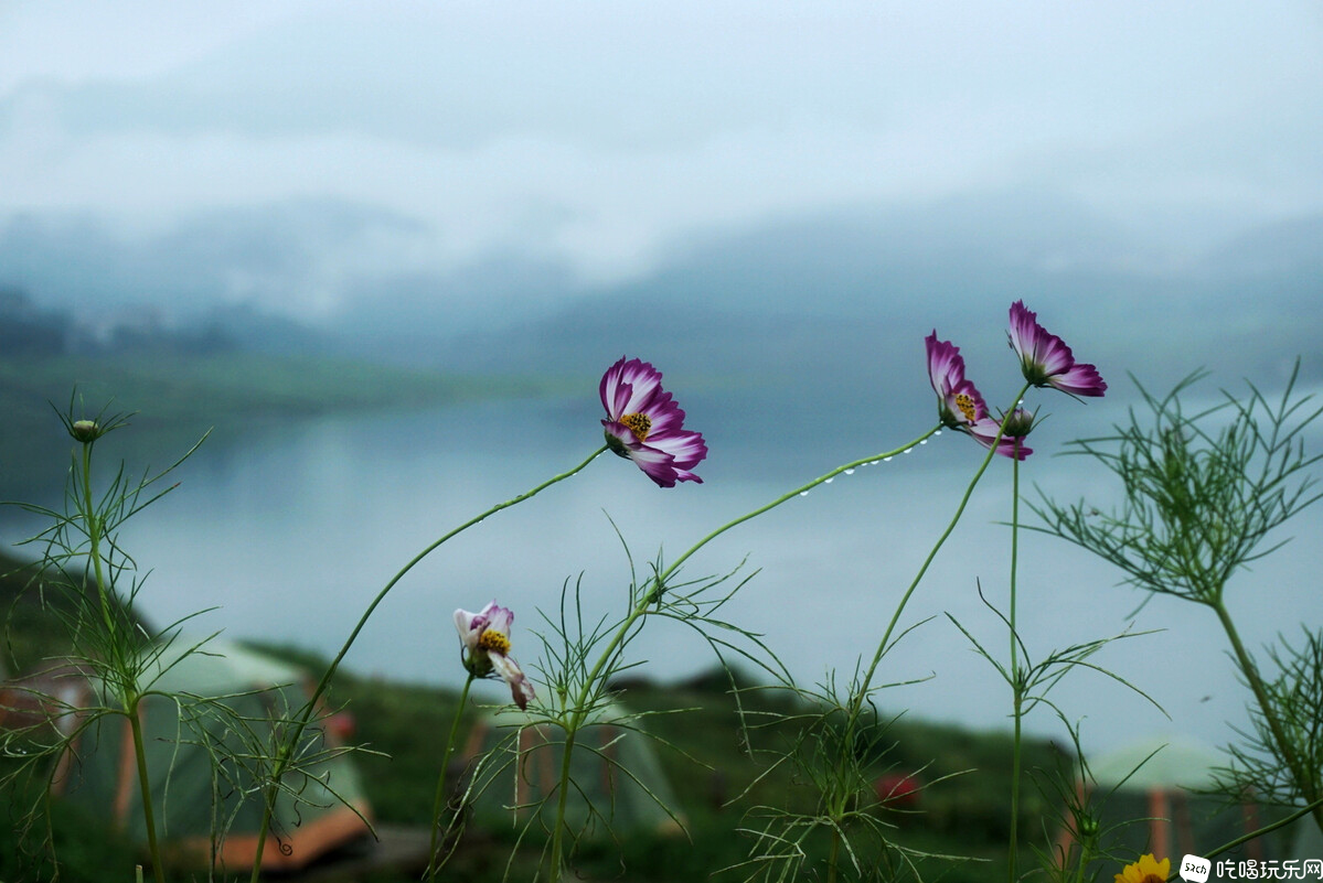 DSC05419-02_副本.jpg