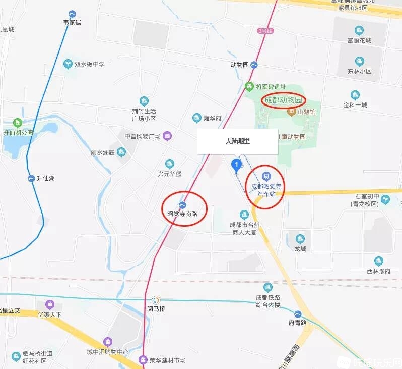 大撸10132.jpg