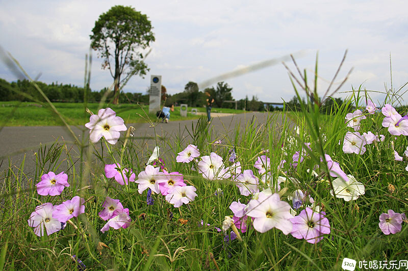 2-03_MG_3470处理小图.jpg