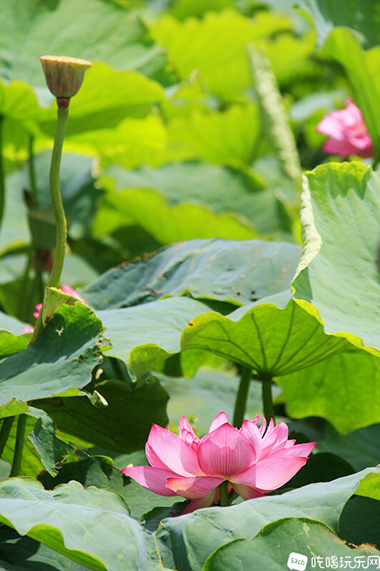 3-02_MG_3491处理小图.jpg