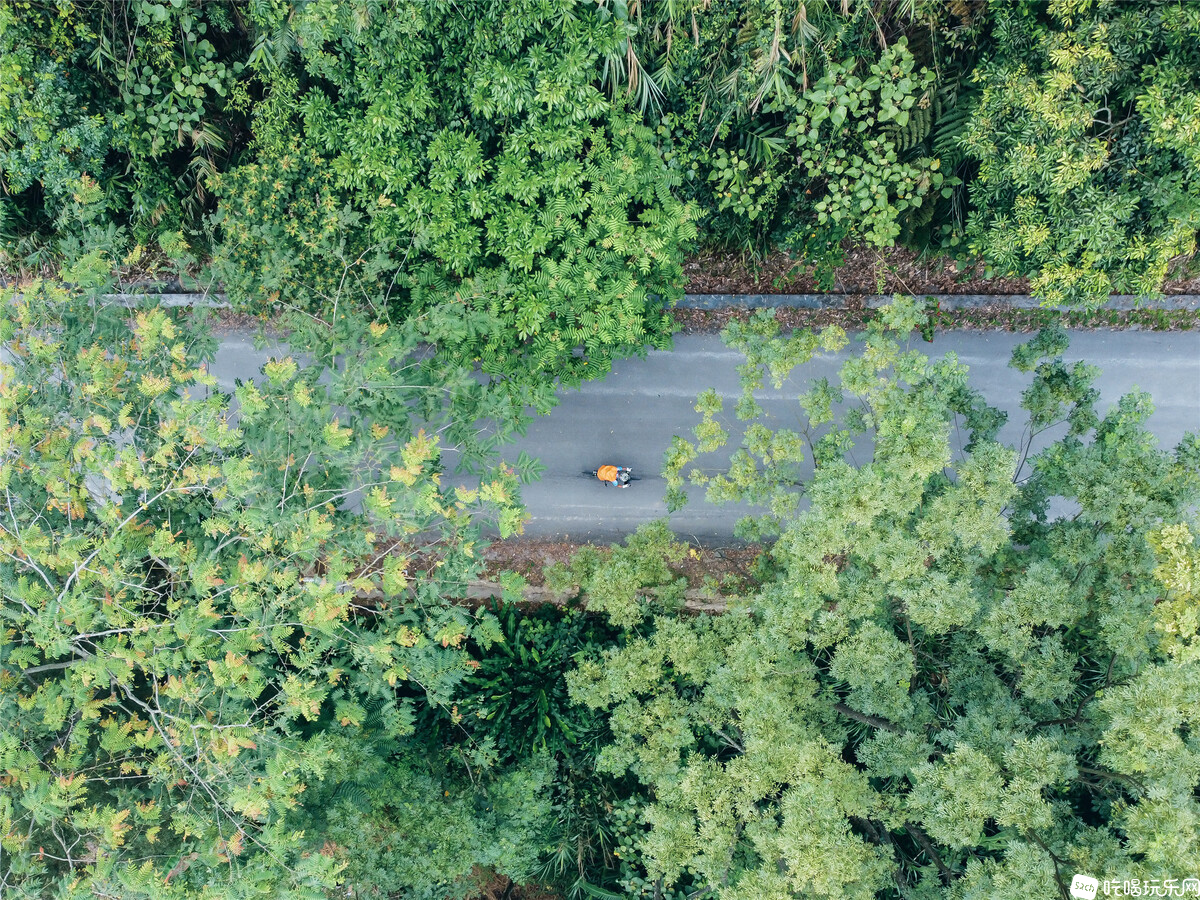 DJI_0201.jpg