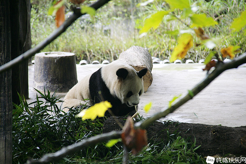 01_MG_3777处理小图.jpg