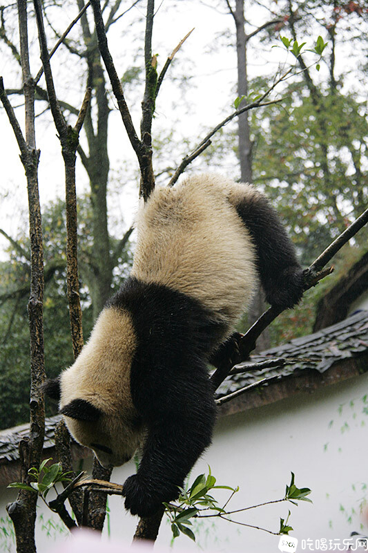 06_MG_3792处理小图.jpg