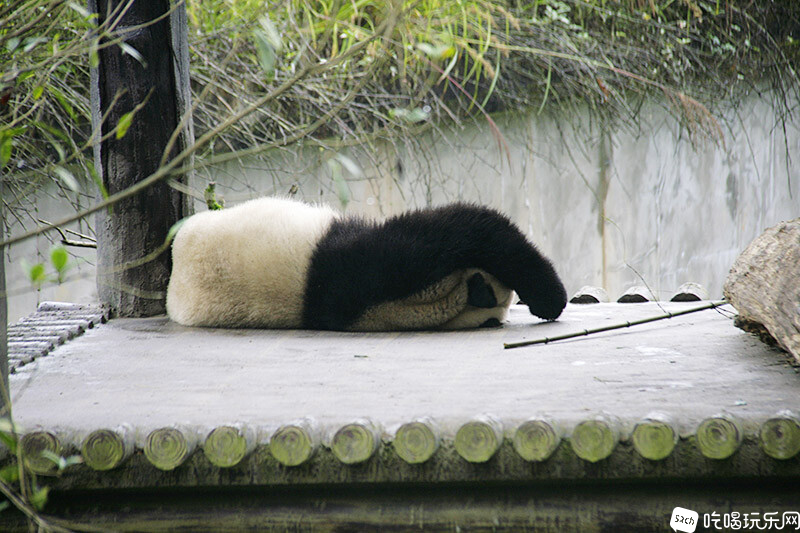 05_MG_3790处理小图.jpg