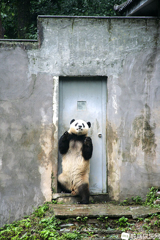 09_MG_3804处理小图.jpg