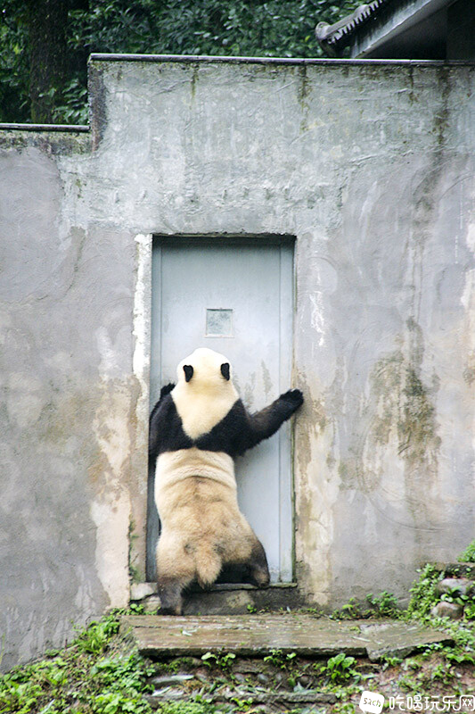 08_MG_3803处理小图.jpg