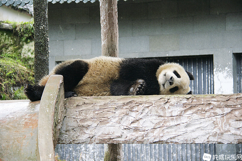 17_MG_3818处理小图.jpg