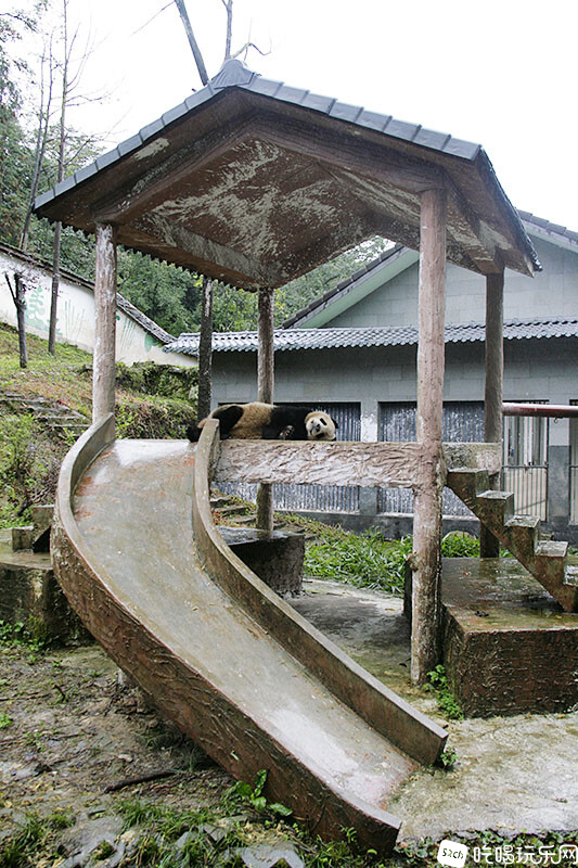 18_MG_3819处理小图.jpg