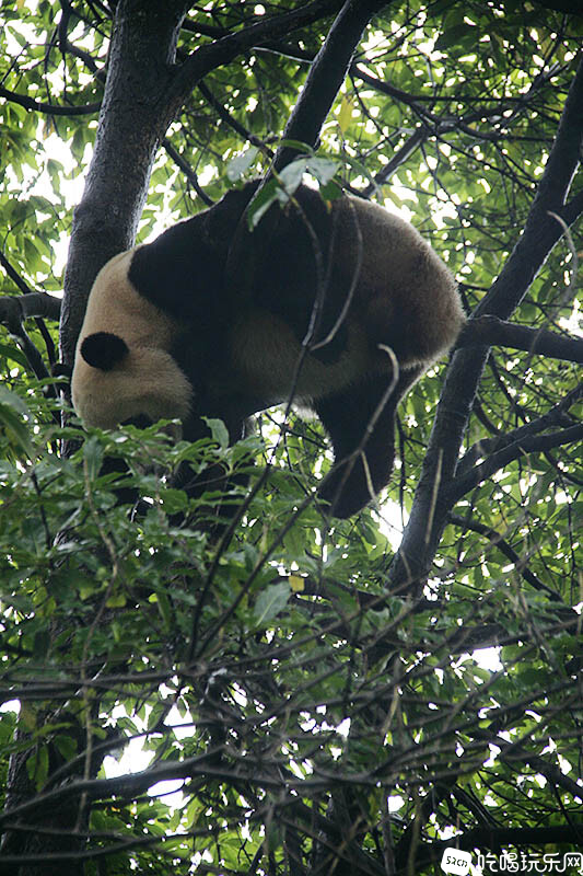 13_MG_3811处理小图.jpg