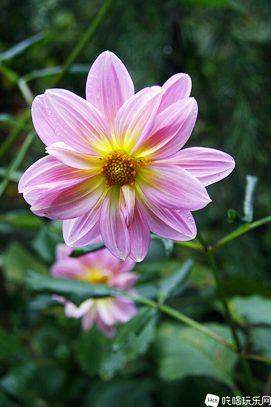 41_MG_3835处理小图.jpg