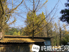 IMG_20201107_122755_副本.jpg