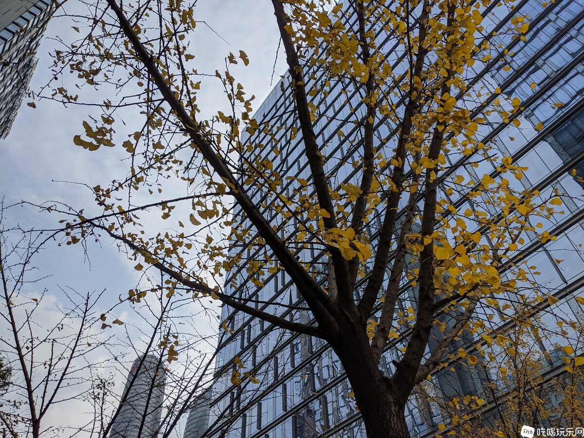 PXL_20201218_033854100.jpg