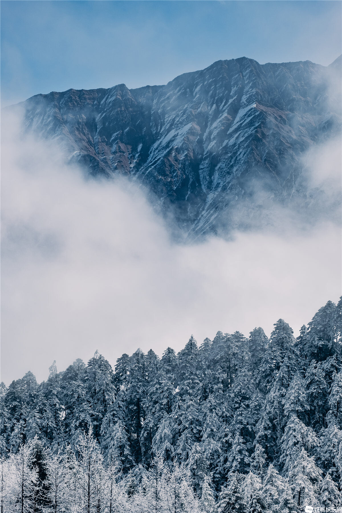 XT2S9890.jpg