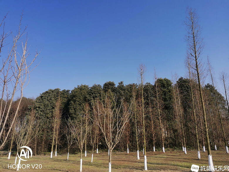 IMG_20210118_151740_副本.jpg